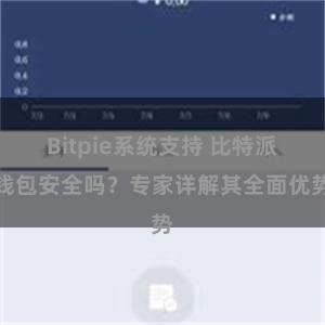 Bitpie系统支持 比特派钱包安全吗？专家详解其全面优势