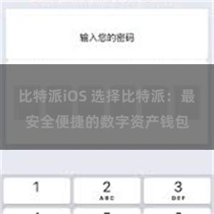 比特派iOS 选择比特派：最安全便捷的数字资产钱包