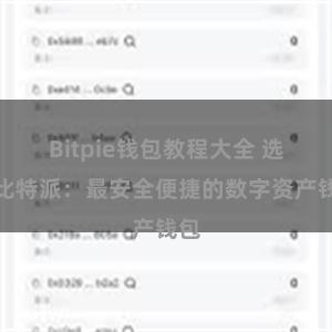 Bitpie钱包教程大全 选择比特派：最安全便捷的数字资产钱包