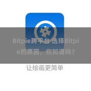 Bitpie跨平台 选择Bitpie的原因，你知道吗？