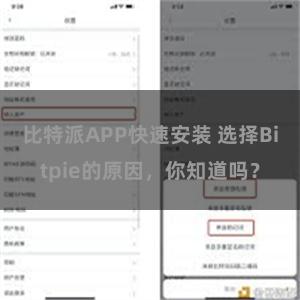 比特派APP快速安装 选择Bitpie的原因，你知道吗？