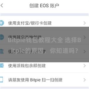 Bitpie钱包教程大全 选择Bitpie的原因，你知道吗？