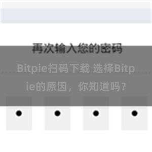 Bitpie扫码下载 选择Bitpie的原因，你知道吗？