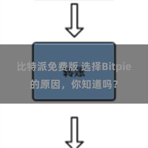 比特派免费版 选择Bitpie的原因，你知道吗？