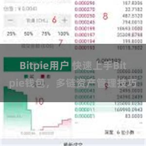 Bitpie用户 快速上手Bitpie钱包，多链资产管理技巧