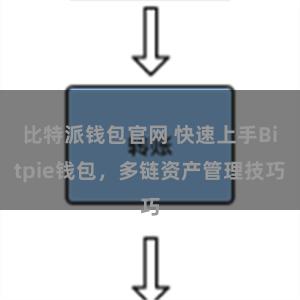 比特派钱包官网 快速上手Bitpie钱包，多链资产管理技巧