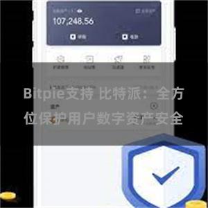 Bitpie支持 比特派：全方位保护用户数字资产安全