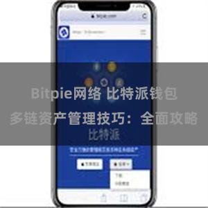 Bitpie网络 比特派钱包多链资产管理技巧：全面攻略