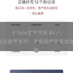 Bitpie官网地址 Bitpie钱包使用技巧：多链资产管理全攻略