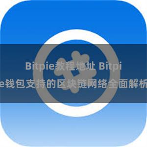 Bitpie教程地址 Bitpie钱包支持的区块链网络全面解析