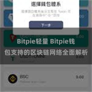 Bitpie轻量 Bitpie钱包支持的区块链网络全面解析