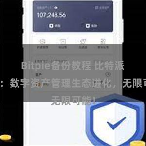 Bitpie备份教程 比特派钱包：数字资产管理生态进化，无限可能！