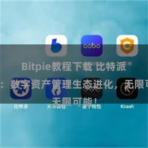 Bitpie教程下载 比特派钱包：数字资产管理生态进化，无限可能！