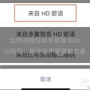 比特派钱包新手教程 Bitpie钱包：数字资产管理助力者