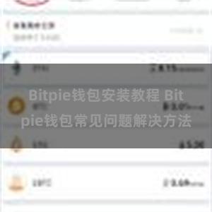 Bitpie钱包安装教程 Bitpie钱包常见问题解决方法