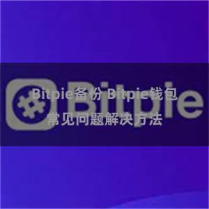 Bitpie备份 Bitpie钱包常见问题解决方法