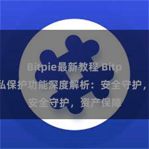 Bitpie最新教程 Bitpie钱包隐私保护功能深度解析：安全守护，资产保障