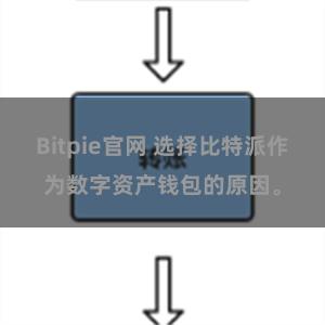 Bitpie官网 选择比特派作为数字资产钱包的原因。