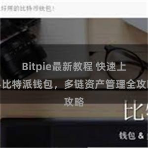 Bitpie最新教程 快速上手比特派钱包，多链资产管理全攻略