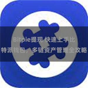 Bitpie提现 快速上手比特派钱包，多链资产管理全攻略