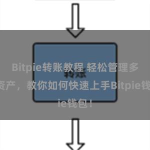 Bitpie转账教程 轻松管理多链资产，教你如何快速上手Bitpie钱包！