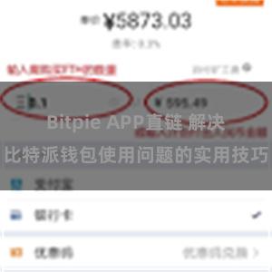 Bitpie APP直链 解决比特派钱包使用问题的实用技巧