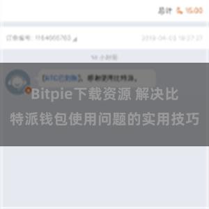 Bitpie下载资源 解决比特派钱包使用问题的实用技巧