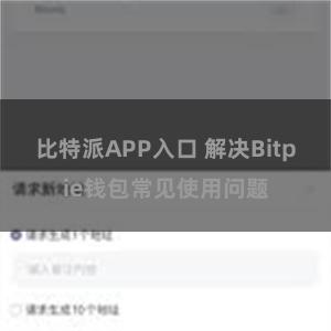 比特派APP入口 解决Bitpie钱包常见使用问题