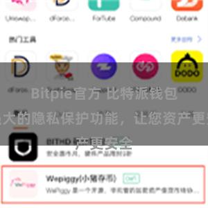 Bitpie官方 比特派钱包：强大的隐私保护功能，让您资产更安全