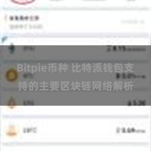 Bitpie币种 比特派钱包支持的主要区块链网络解析