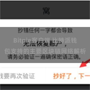 Bitpie客户端 比特派钱包支持的主要区块链网络解析