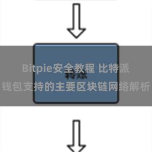 Bitpie安全教程 比特派钱包支持的主要区块链网络解析