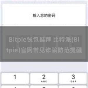 Bitpie钱包推荐 比特派(Bitpie)官网常见诈骗防范提醒