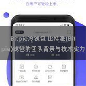 Bitpie冷钱包 比特派(Bitpie)钱包的团队背景与技术实力