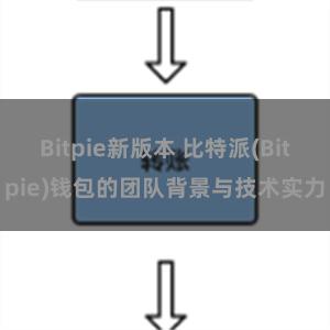 Bitpie新版本 比特派(Bitpie)钱包的团队背景与技术实力