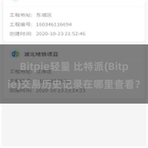 Bitpie轻量 比特派(Bitpie)交易历史记录在哪里查看？