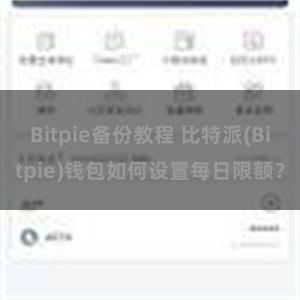 Bitpie备份教程 比特派(Bitpie)钱包如何设置每日限额？