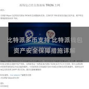 比特派多币支持 比特派钱包资产安全保障措施详解