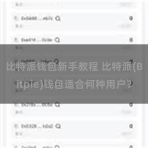 比特派钱包新手教程 比特派(Bitpie)钱包适合何种用户？