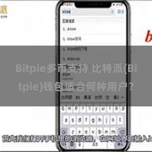 Bitpie多币支持 比特派(Bitpie)钱包适合何种用户？