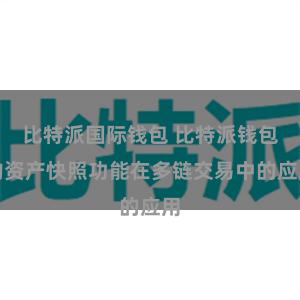 比特派国际钱包 比特派钱包的资产快照功能在多链交易中的应用