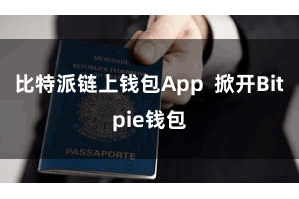 比特派链上钱包App  掀开Bitpie钱包