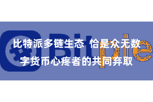比特派多链生态  恰是众无数字货币心疼者的共同弃取